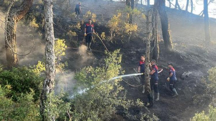 Dinarda orman yangını büyümeden söndürüldü