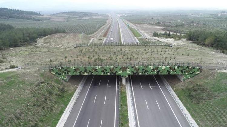 Bakan Uraloğlu: 4 ekolojik köprünün yapımı devam ediyor