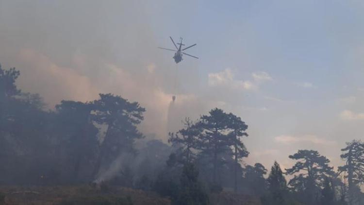 Eskişehirdeki orman yangınının nedeni belli oldu