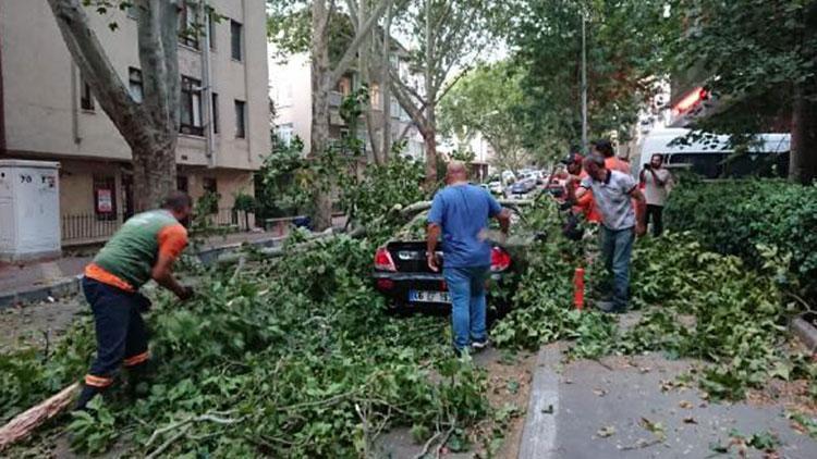 Ankarada kuvvetli rüzgar etkili oldu: Ağaçlar devrildi, çatılar uçtu