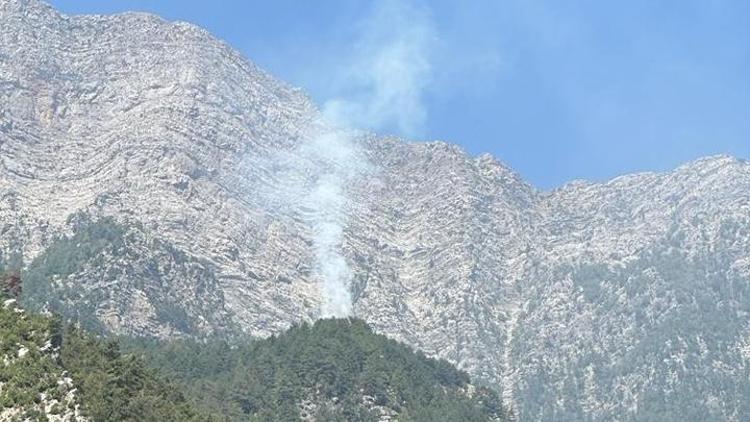 Osmaniye Düziçinde orman yangını: Ekipler bölgede