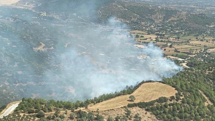 İzmirin Ödemiş ilçesinde orman yangını