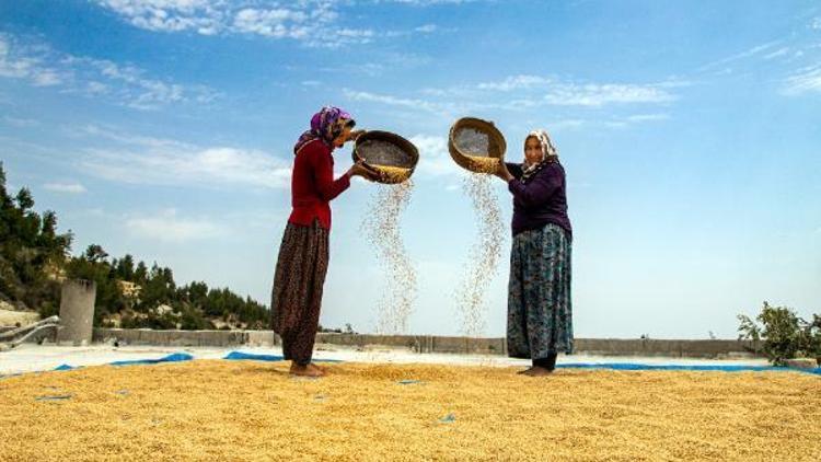 Gülnarda Kültür ve Yöresel Ürünler Festivali fotoğraf yarışması sonuçlandı