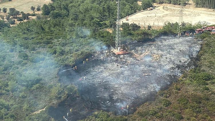 İzmir Urlada orman yangını