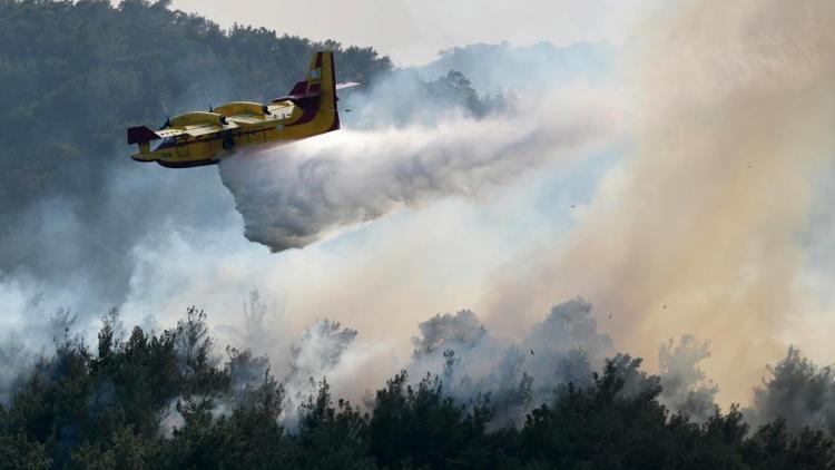 Orman yangınları sonrası Yunanistanda 140 kişi gözaltına alındı