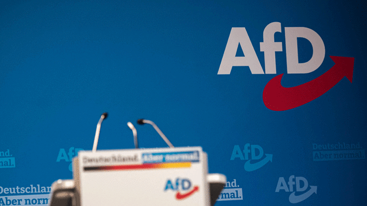 ‘Sorunlar çözülürse, AfD kaybeder’