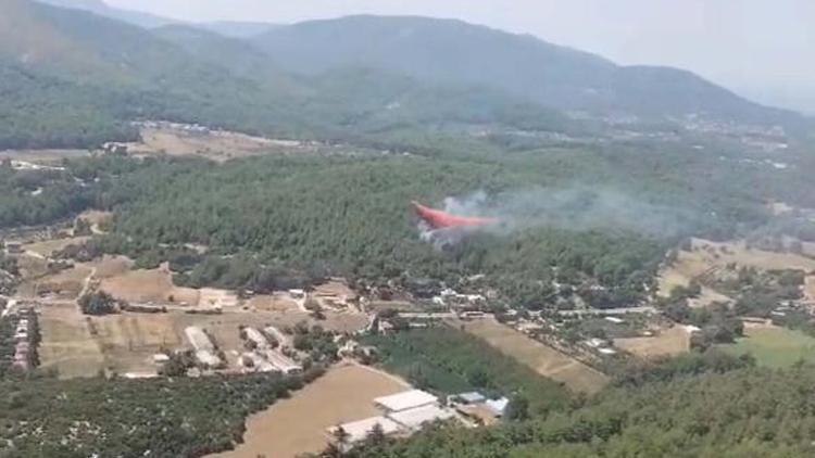 İzmirde orman yangını: Kontrol altına alındı