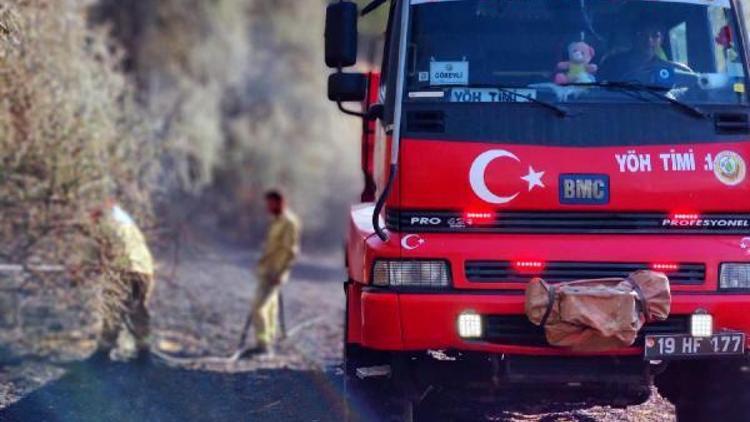 Çorumda çıkan anız yangını 4 saatte söndürüldü