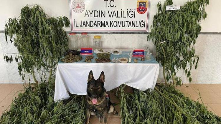 Evinde 2 kilo uyuşturucuyla yakalanan şüpheli tutuklandı