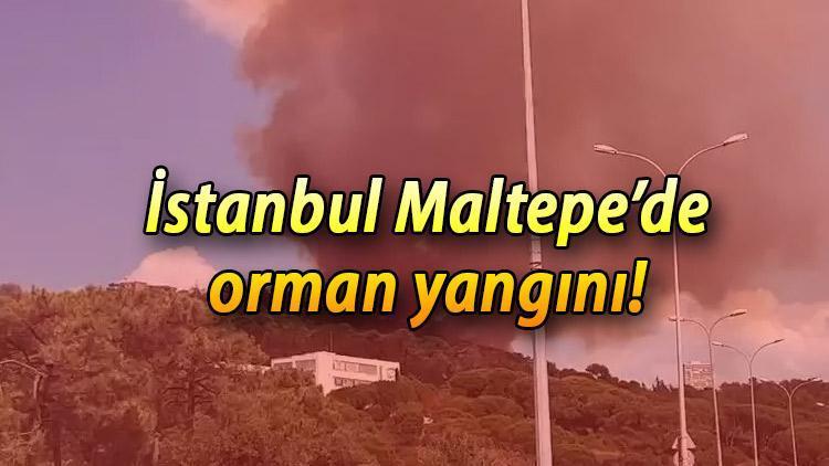 Maltepe orman yangını nerede, hangi ilçeye yakın İstanbul Maltepe’de son dakika orman yangını