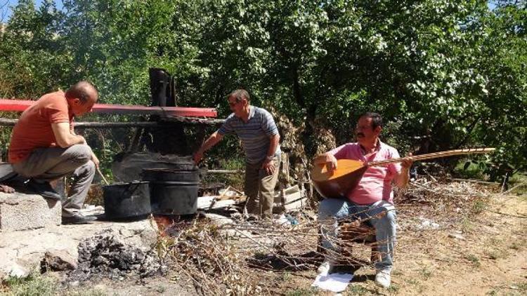 3 bin yıllık Erciş üzümü için bağ bozumu zamanı