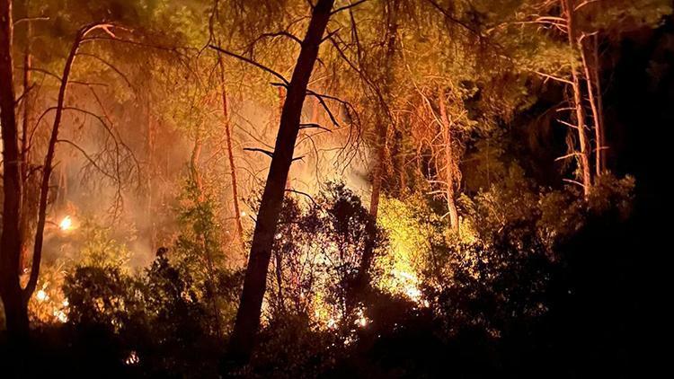 Adanada 3 gün arayla 2nci orman yangını