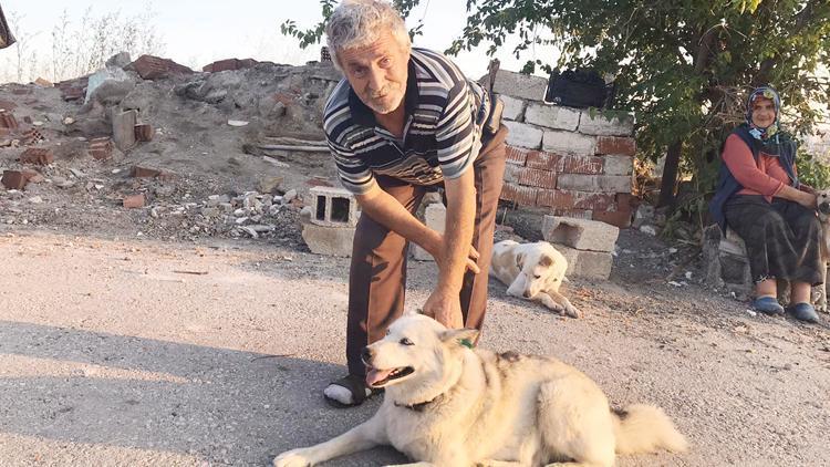 Köpek beslerken başından vuruldu