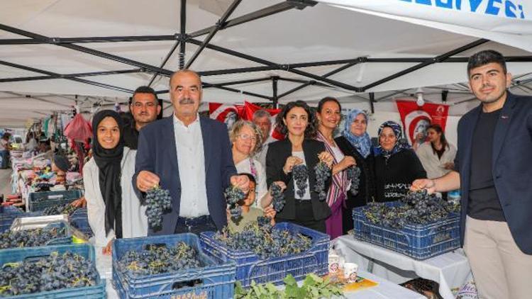 Mudanya Belediyesi, Çağrışan Bağbozumu Şenliği’ni gerçekleştirdi