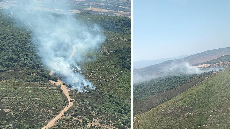 İzmirde iki noktada orman yangını