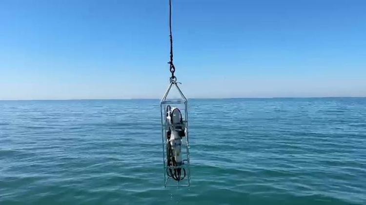 Karadenizde deniz suyu sıcaklığında artış: Biyoçeşitliliği de etkiliyor