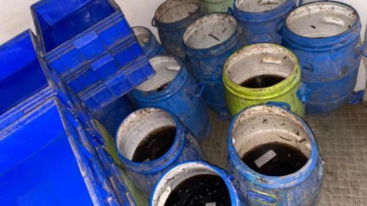 Çanakkale’de ele geçirilen 500 kilogram deniz patlıcanı, denize geri bırakıldı