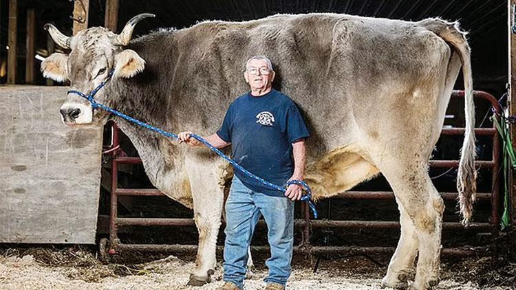 Guinness’in yeni rekorları