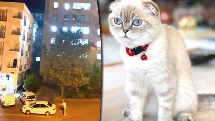 Mahallenin tatlı ‘Bela’sı... Kedi yüzünden çıkan çatışmada kurye vuruldu