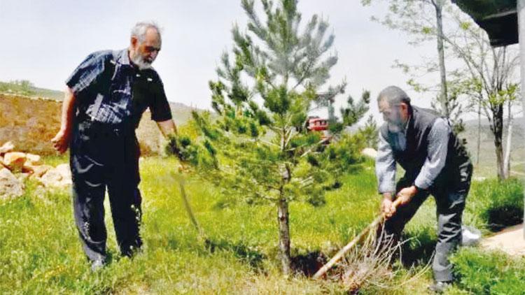 Hayalini yaşatmak için can verdi