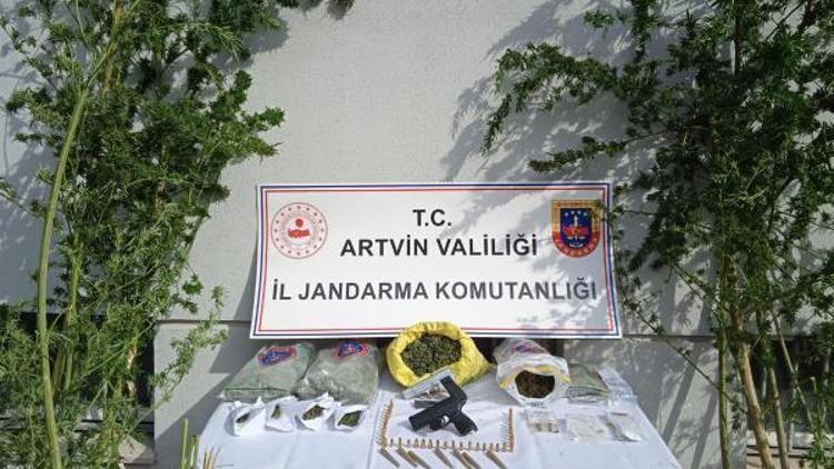 Artvin’de jandarmadan uyuşturucu operasyonu