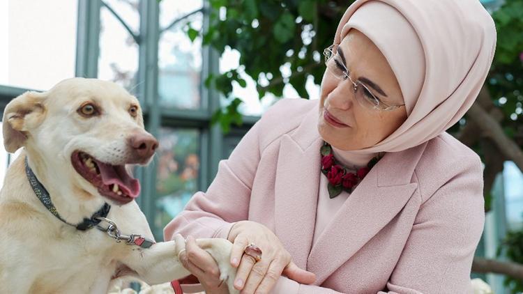 Emine Erdoğan: Hayvanları korumak da öncelikli vicdani yükümlülüğümüzdür