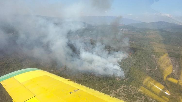 İzmir Bayındırda orman yangını