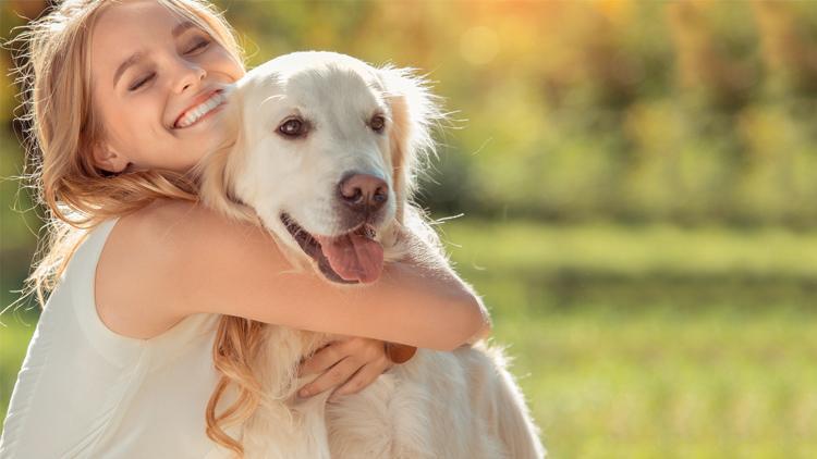 Köpek sahipleri daha çok bağlanıyor