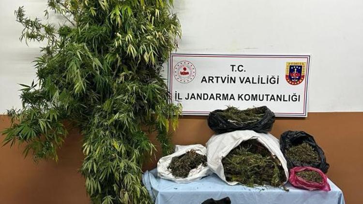 Artvin’de uyuşturucu operasyonu; 1 tutuklama