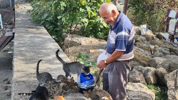 Emekli Hasan amca, tüm maaşını kediler için harcıyor