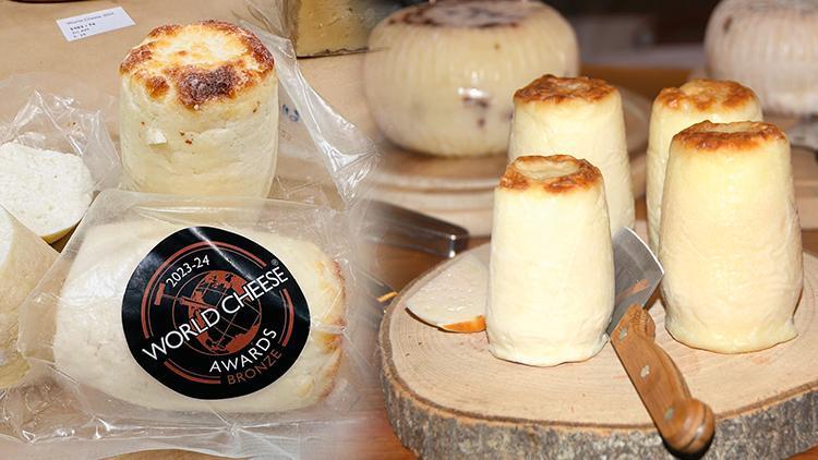 Kirli Hanım peyniri Dünya Peynir Ödüllerinde bronz madalya aldı Başarıya nasıl ulaşıldı Yok olmaya yüz tutan bir peynir Avrupa sahnesinde