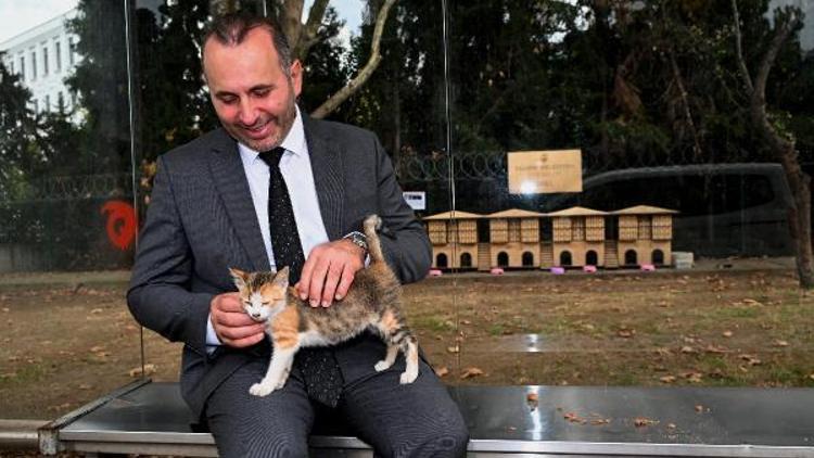 Yalova’da kentin belli yerlerine konulan kedi evleri, sokak hayvanlarına yuva oldu