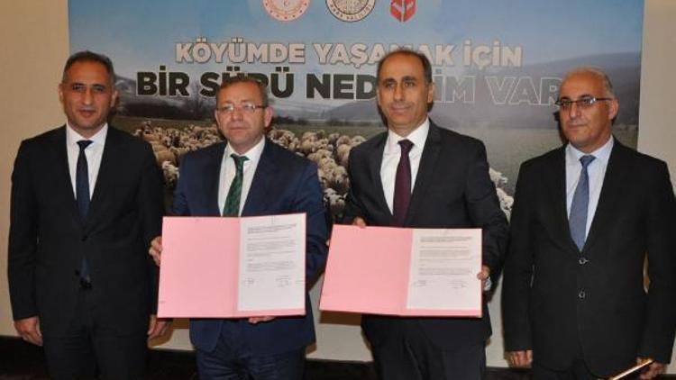 Vali, 15 bin koyun dağıtımını yetersiz buldu, 100 bin hedefi için projeyi 1 yıl uzattı