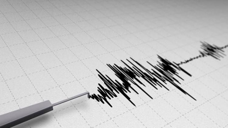 Endonezyada peş peşe depremler