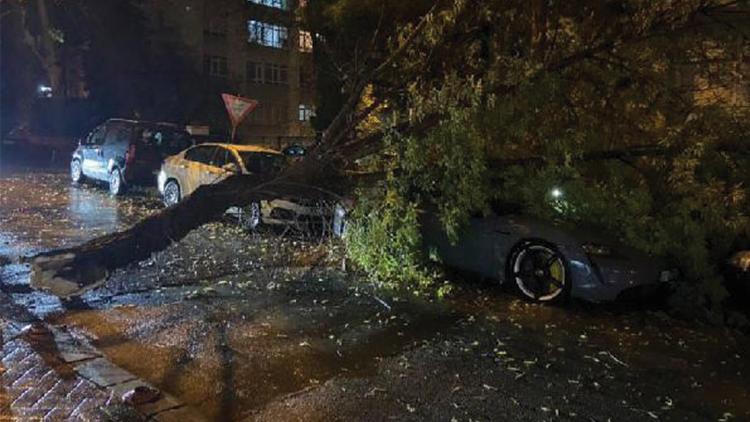 Ankarada kuvvetli rüzgarda devrilen ağaç, otomobilin üzerine düştü