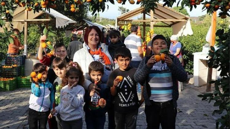 Karaburun 14üncü Batı Köyleri Mandalina Şenliği için gün sayıyor