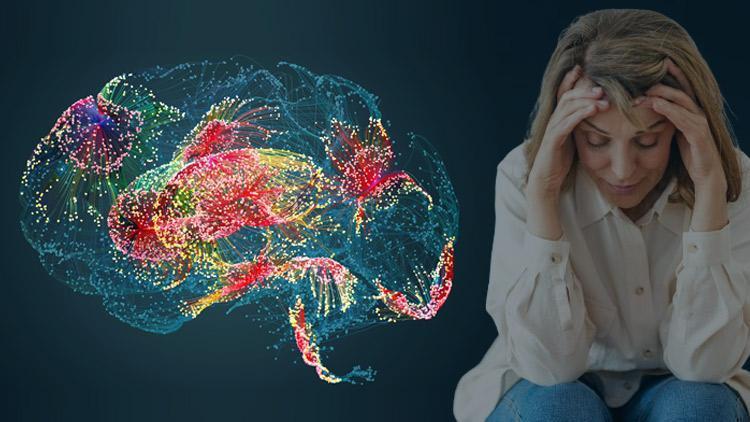 Menopoz beyni nasıl değiştiriyor? Alzheimer ve demans riskini yükseltiyor mu? ‘Beyin sisi, unutkanlık artıyor, gri madde hacmi azalıyor’