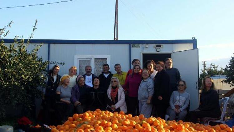 Karaburundaki Turuncu Dayanışmayla üreticinin mandalinası dalında kalmadı