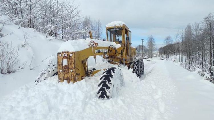 Doğu Karadenizde 4 ilde yoğun kar yağışı: 367 köy yolu kapandı
