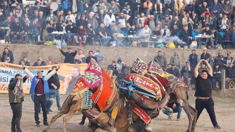 Bergamada folklorik deve gösterisi festivali düzenlendi