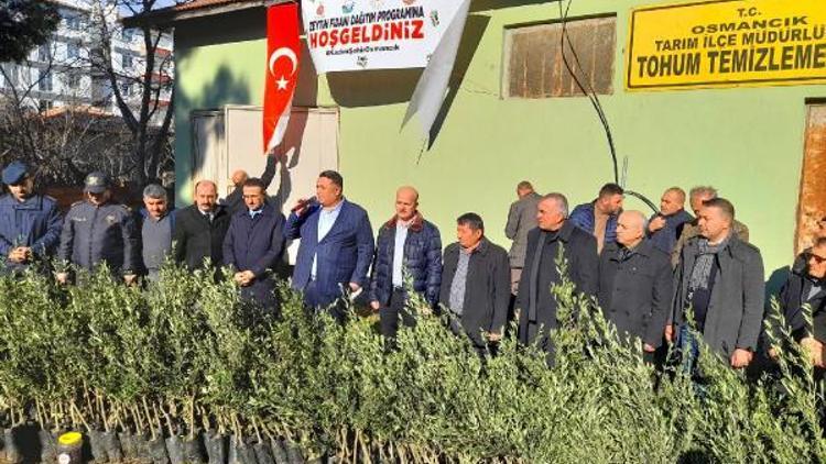 Çiftçilere ücretsiz zeytin fidanı dağıtıldı