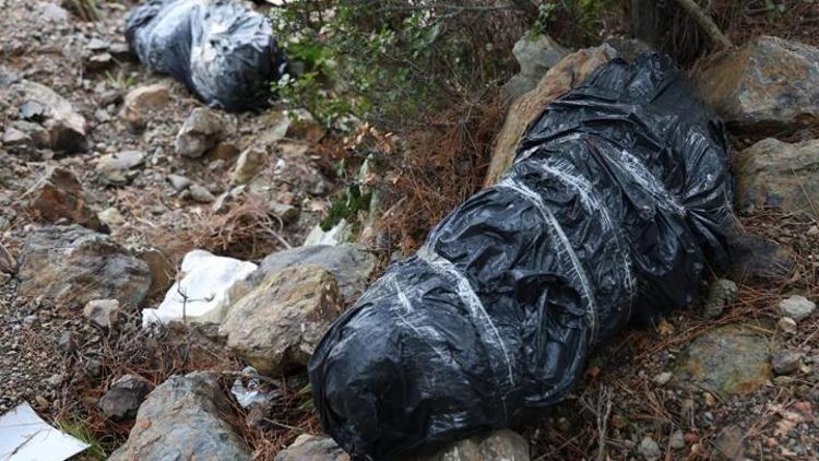 İzmirde korkunç olay Çöp poşetlerinin içinde 2 köpek ölü bulundu