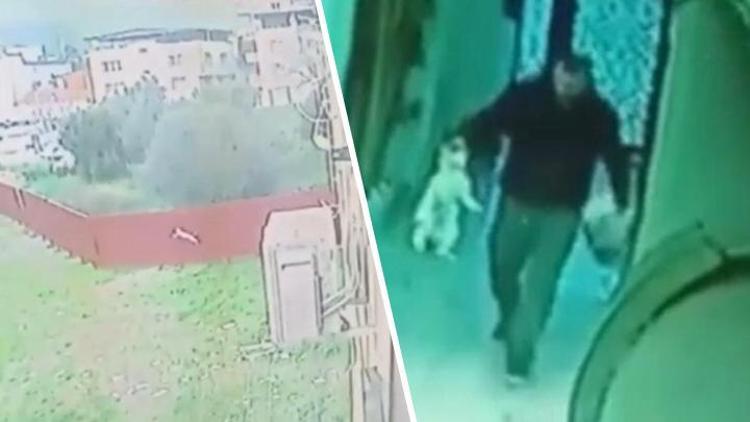 İzmirde vahşet: Sokaktan topladığı 4 kediyi öldürüp, apartmanın bahçesine atmış Valilikten açıklama