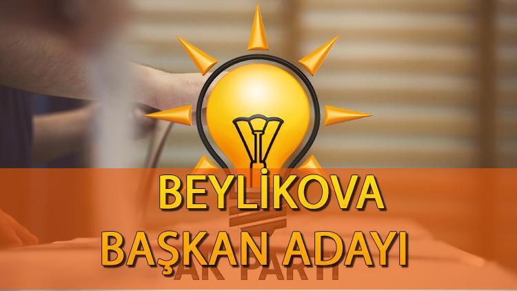 AK Parti Beylikova Belediye Başkanı adayı kim oldu 2024 Ak Parti Eskişehir Beylikova Belediye başkan adayı açıklandı