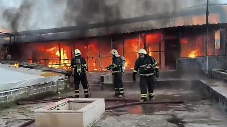 Diyarbakırda güvercin otelinde yangın: 300’e yakın güvercin öldü