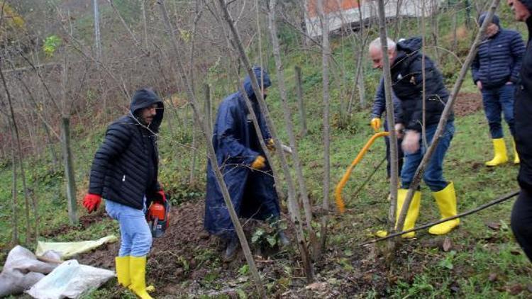 ‘Fındık bahçeleri ve üreticiler yaşlanıyor’