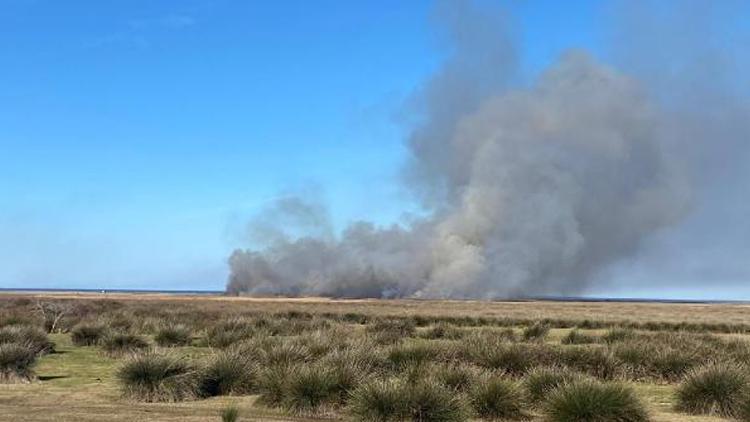Kızılırmak Kuş Cennetinde yangın: Kontrol altına alındı
