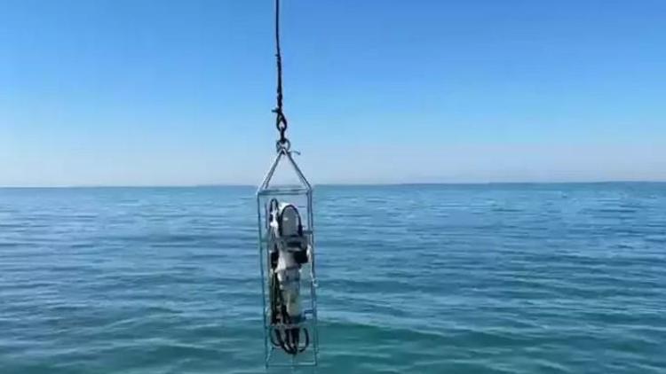 Karadenizdeki gizemli sesin sırrı çözüldü mü Sahil Güvenlik alarma geçti
