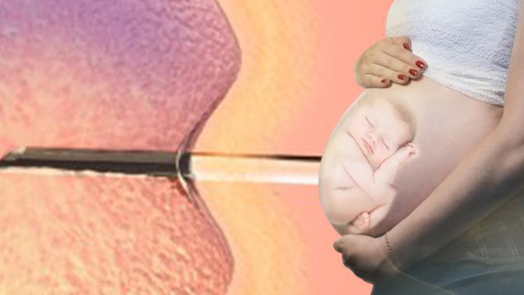 Embriyolar çocuk sayıldı, ABDde  tüp bebek çalışmaları durdu