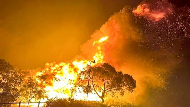 Avustralya orman yangınları ile mücadele ediyor 16 bin hektarlık alan küle döndü